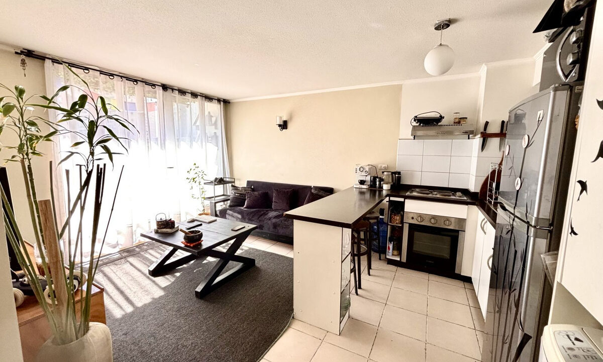 Departamento de 2 dormitorios en venta en Maruri, Independencia — imagen 1