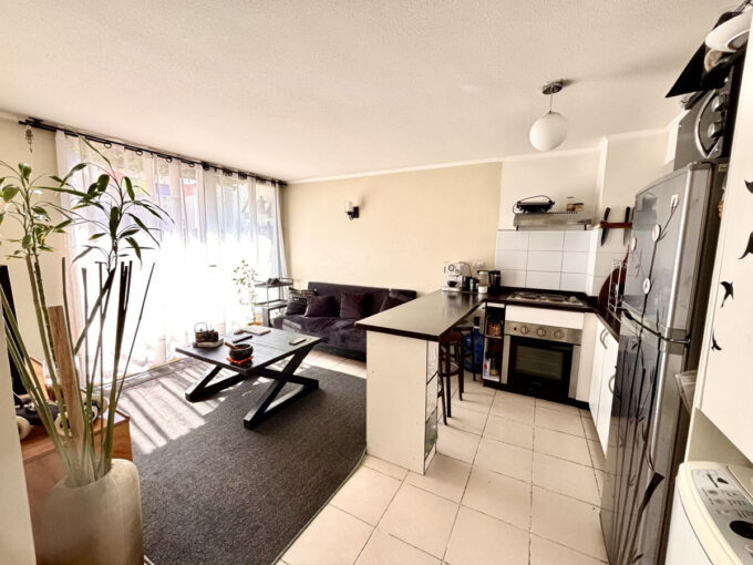 Departamento de 2 dormitorios en venta en Maruri, Independencia — imagen 1
