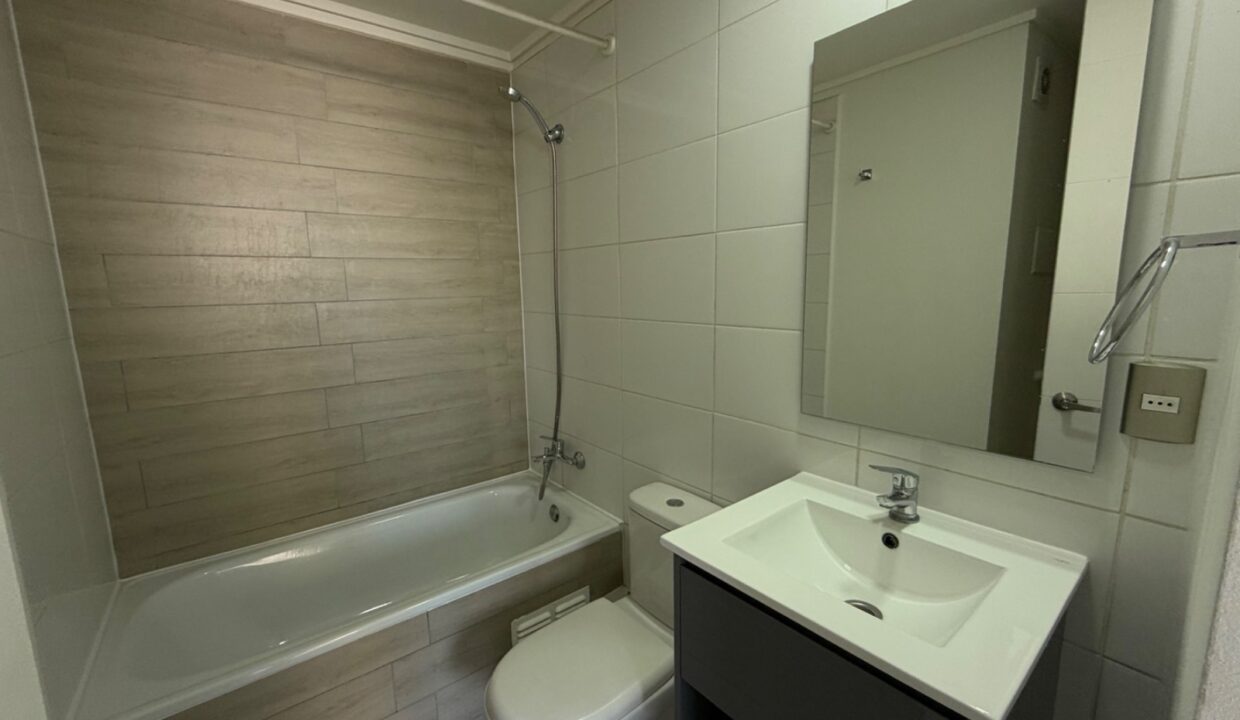 Departamento de 1 dormitorio en arriendo en Avenida Brasil, Santiago — imagen 4