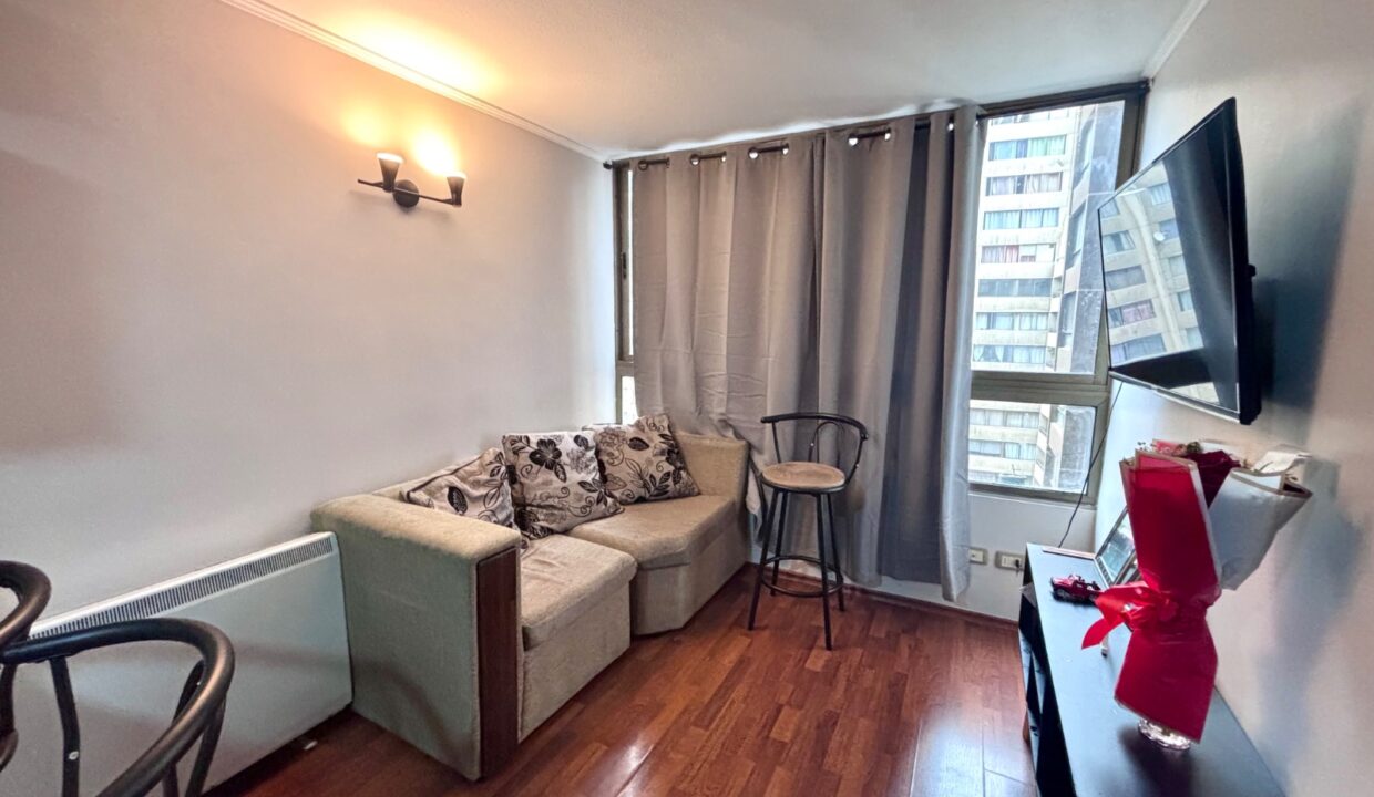 Departamento de 1 dormitorio en venta en calle Serrano, Santiago — imagen 3